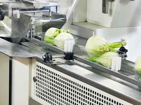 cappotto-termico produzione-macchine-alimentari-modena-san-giovanni-in-persiceto